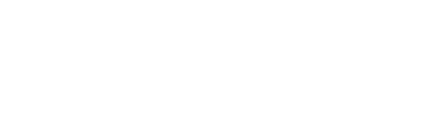 Insur Concept Logo White
